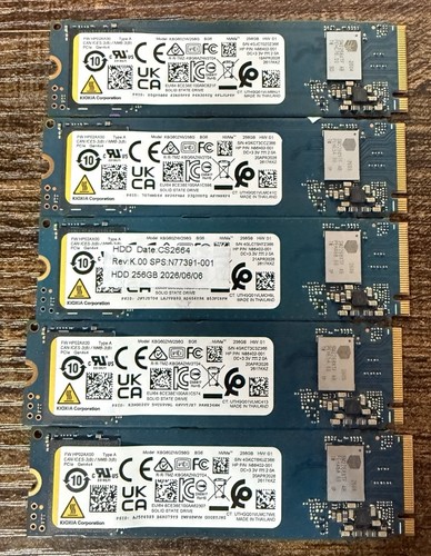 Ssd 100 kioxia kbg60znv256g - ssd,