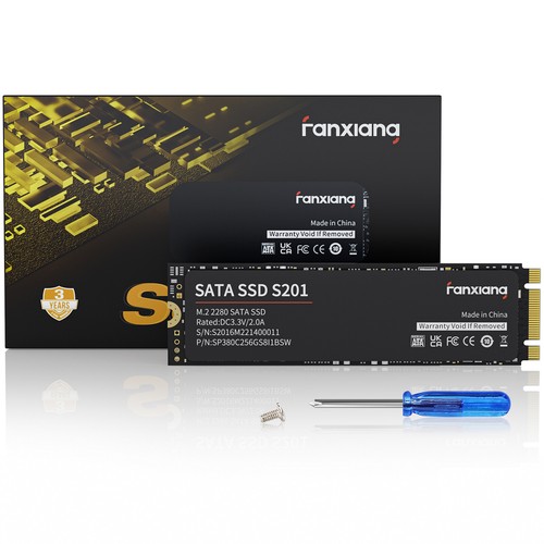 Fanxiang sata 256gb - m.2,